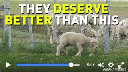 雪地靴事件,雪地靴加工骗局