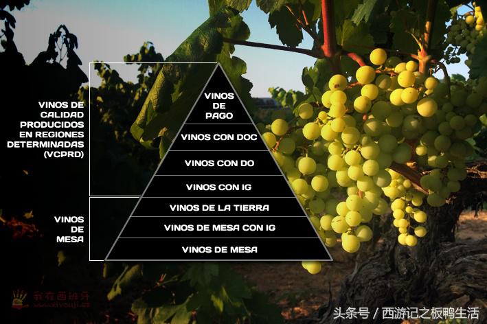 西班牙维纳葡萄酒,西班牙蒙娜葡萄酒