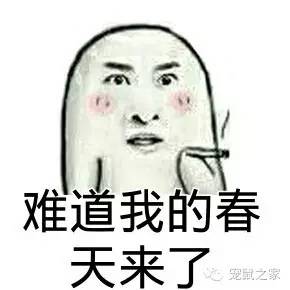 看看那些年我们一起追过的荷兰猪猪粮（下）