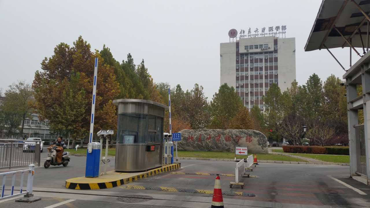 走进北师大,走进京师校园