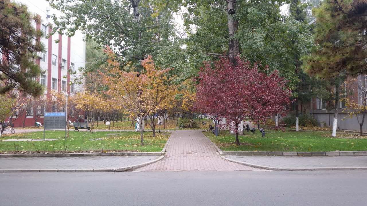 走进北师大,走进京师校园