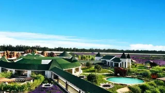 帝都温泉酒店客房价格,适合冬天去的温泉酒店推荐