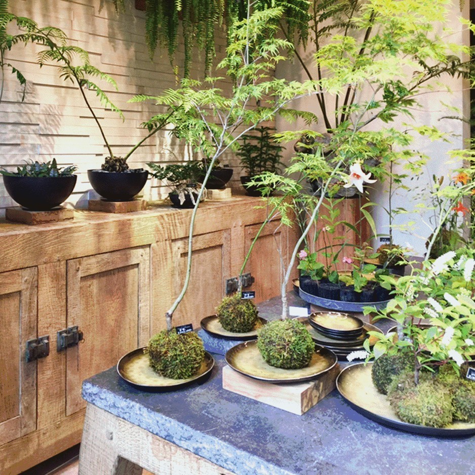 十万步走出的东京花店