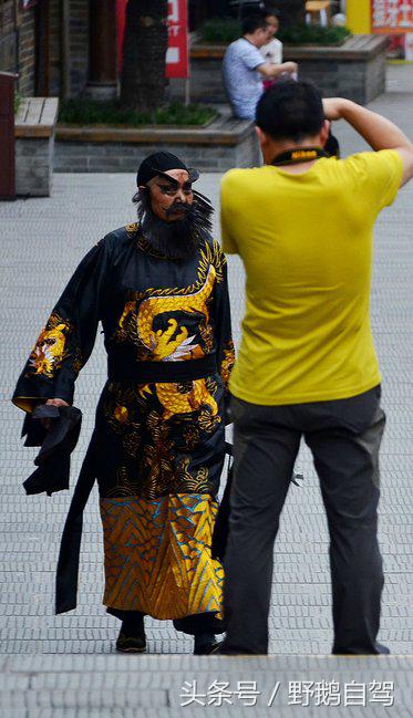 新疆野鹅自驾游视频,野鹅圣诞节自驾游