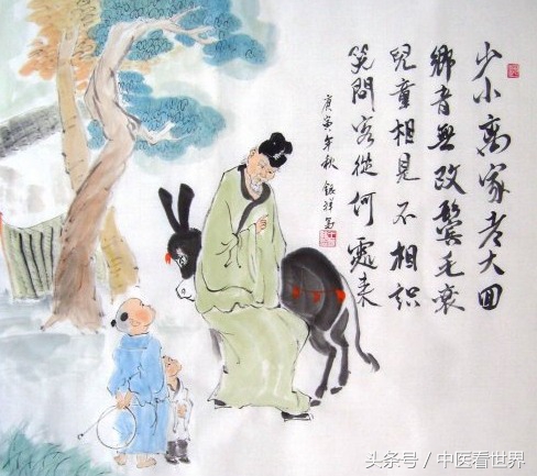 路边杂草清热解毒,田间杂草药用