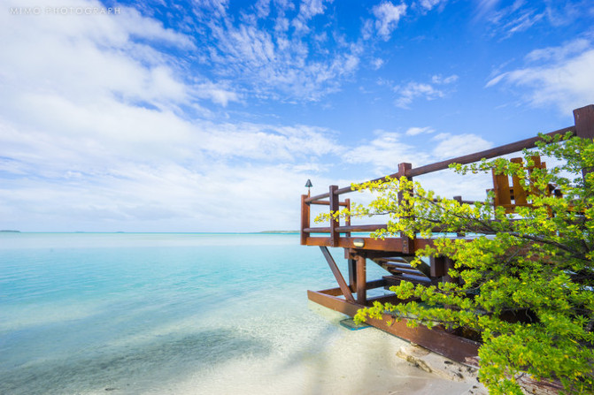 库克，上帝最秘密的存在