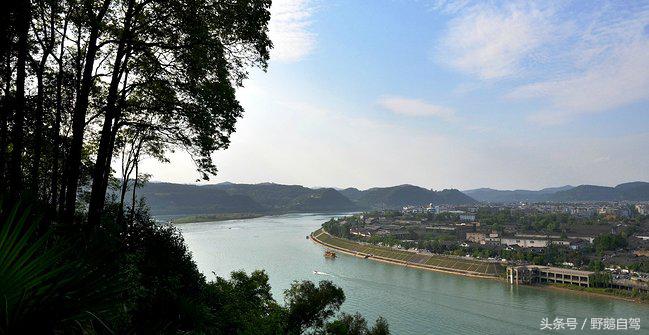 新疆野鹅自驾游视频,野鹅圣诞节自驾游