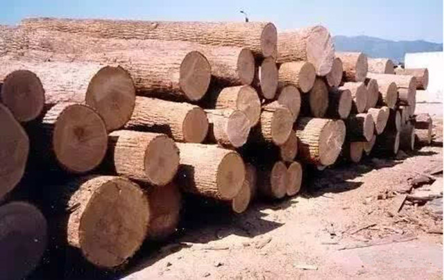 NBA球场地板,nba最厉害的地板