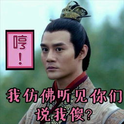 王凯靖王帅气,王凯王鸥表情包