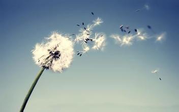 反复口腔溃疡，这种中药漱口，通常3天即愈