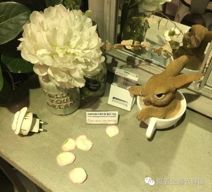 少女心大爆炸！首尔弘大这家Café好看得一塌糊涂