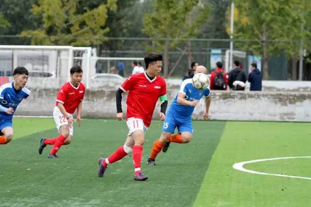 我眼里的足球世界,我眼中的足球世界杯