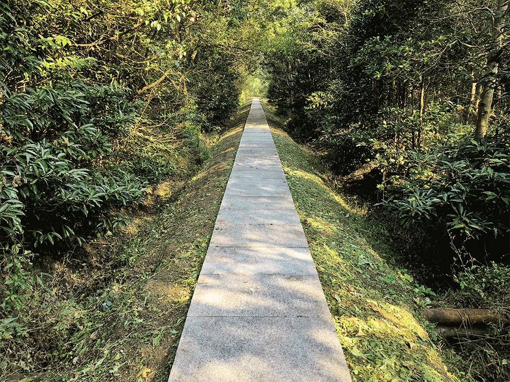 原来在宿舍也可以这么快乐,原来在大连也可以享受洱海