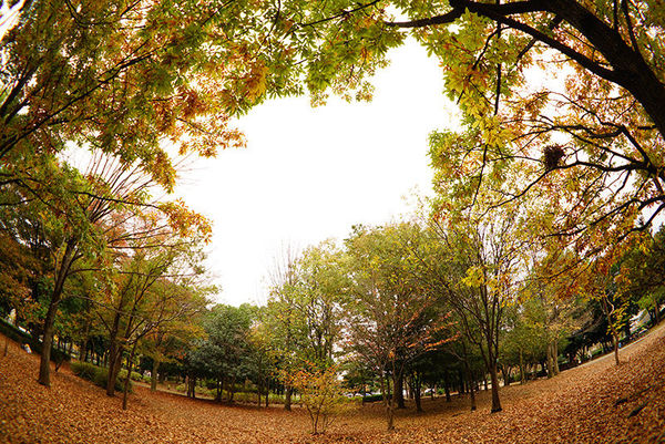 索尼fe70-2002.8,索尼fe35mmf2.8价格