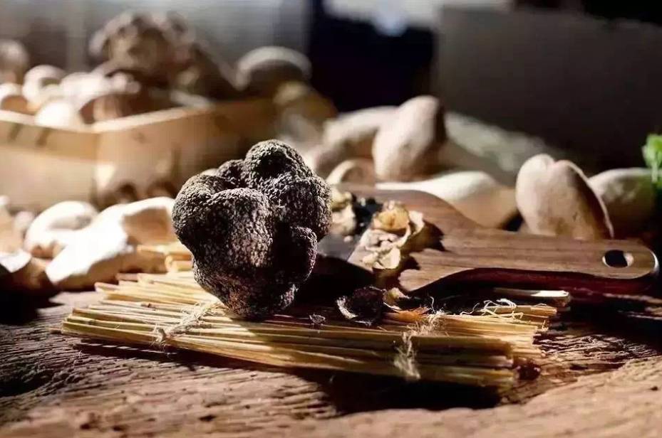 松露新口味,顶级松露的秘密