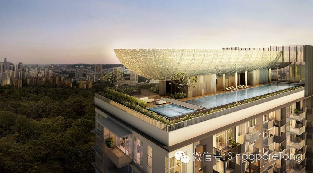 萝卜评价世界杯,萝卜评价丁俊晖