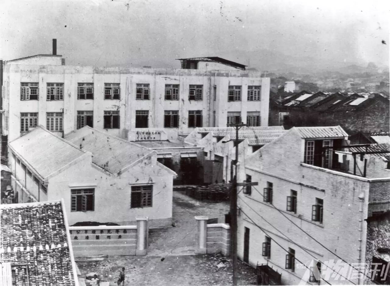 简氏兄弟,简氏兄弟简介