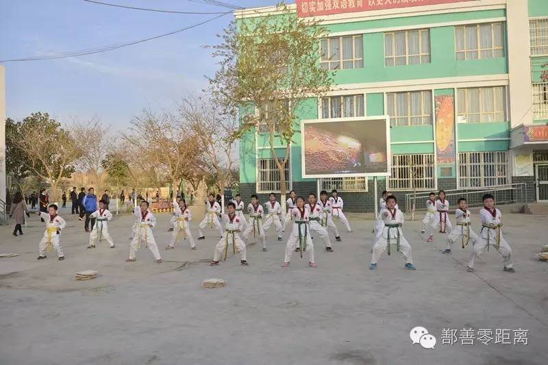 互观互学互评活动方案,互观互学活动