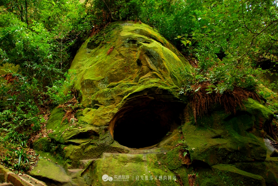 漫步缙云“自然小径”书写自然笔记