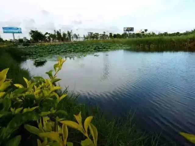 各个城市未来的样子汕头,30年前的汕头是怎么样的