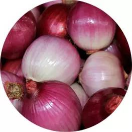 冬天爱上火的体质吃什么能改善,冬天体内湿气太重容易上火怎么办