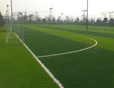 沈阳市的足球场地,沈阳足球场地免费
