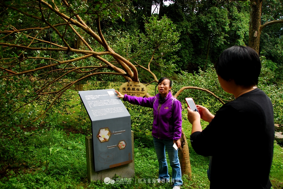 漫步缙云“自然小径”书写自然笔记