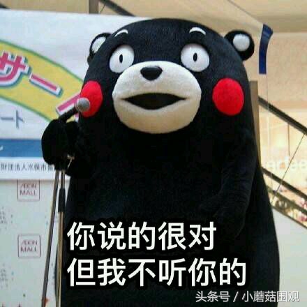 海淘奶粉哪个平台最靠谱,海淘哪个国家最便宜