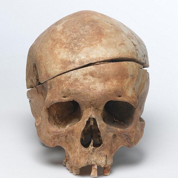 这里有十个家伙快把机场安检工作人员给吓出焦虑症了