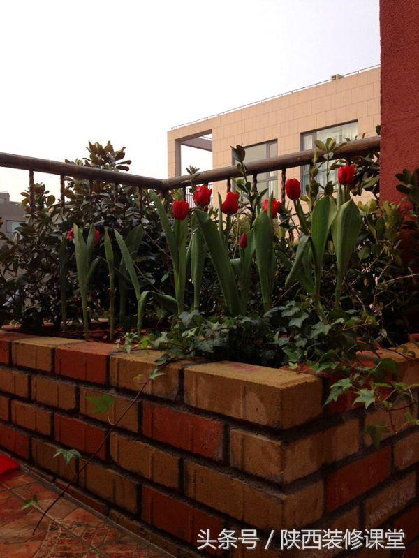 280平花园法式,我家花园的氛围感