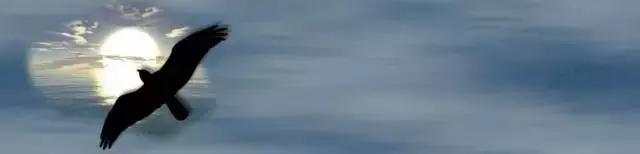 年轻科研人员如何实验,青年科研人如何成长