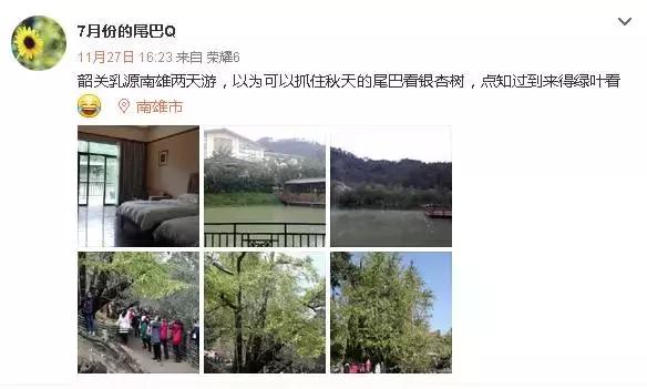 南雄看银杏值得去吗,南雄看银杏攻略