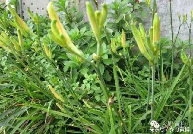 难忘大青山,难忘中学