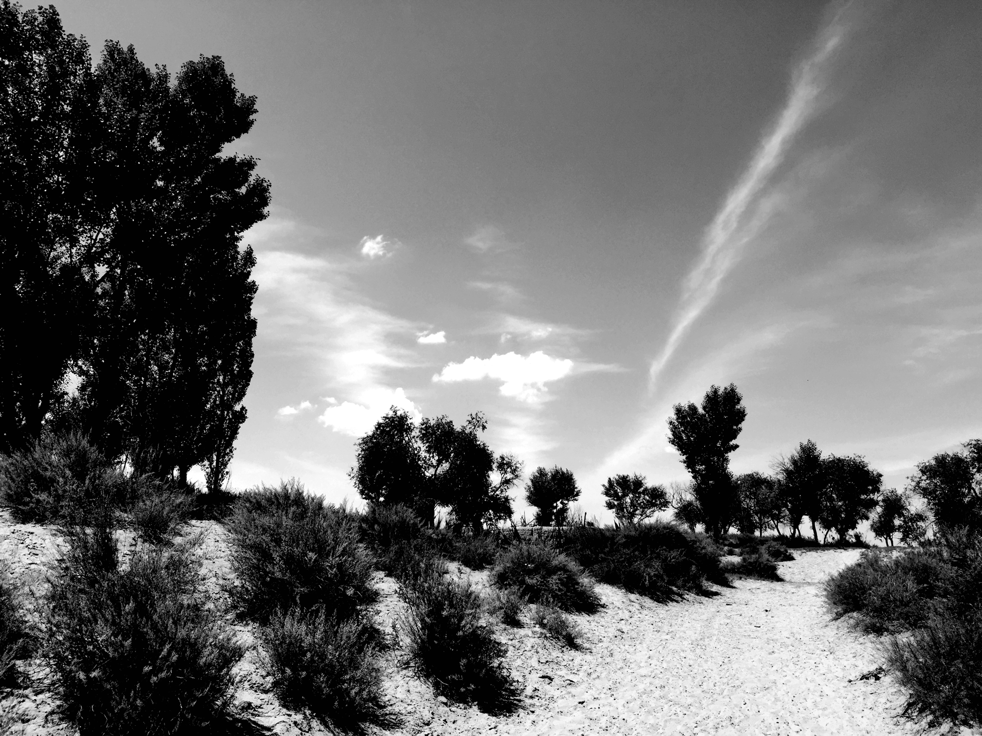 历史丨匈奴最后的遗址：废都统万城