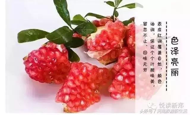 巩义吵架的视频,巩义吵架