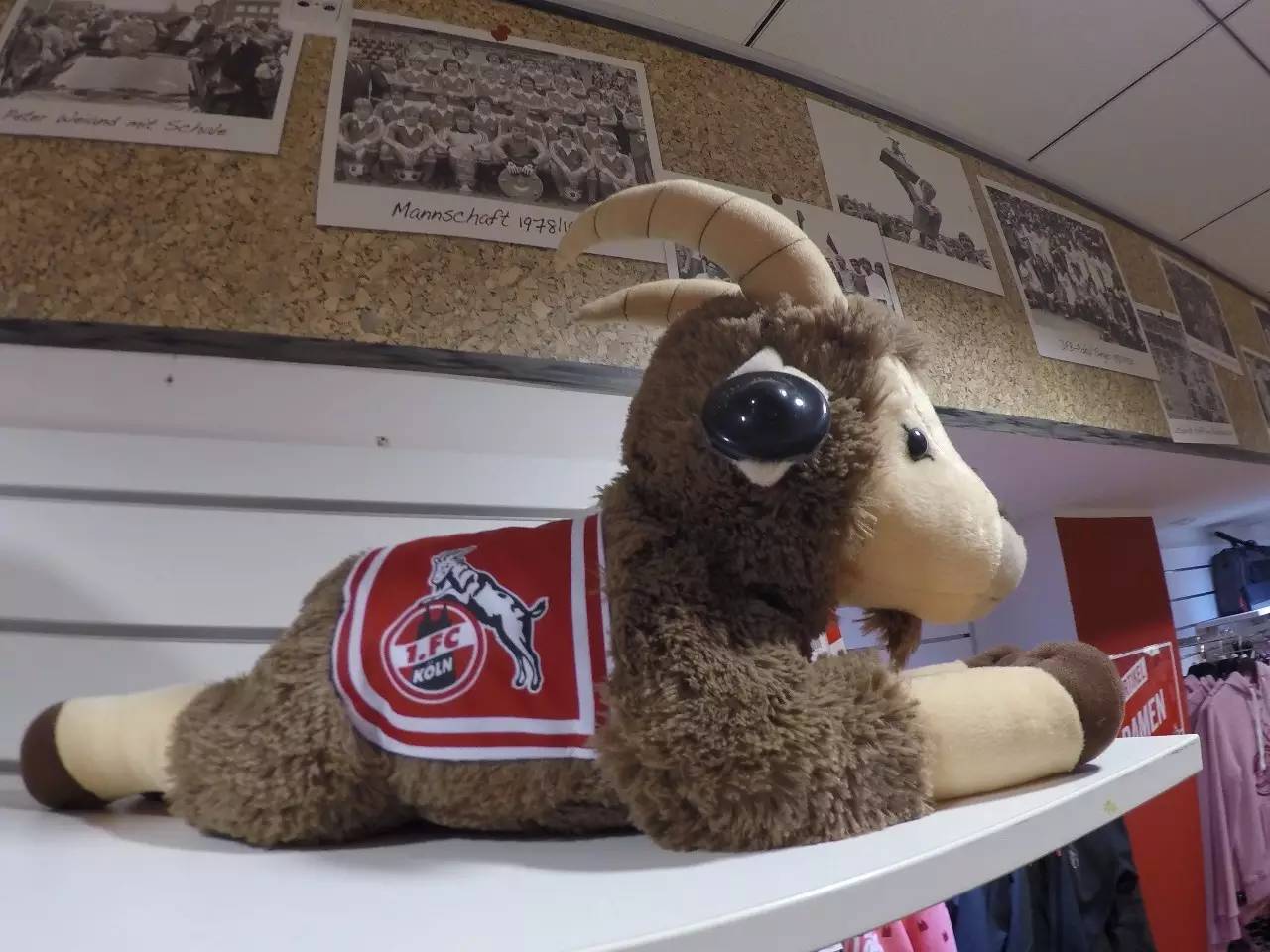 德国足球欧洲赛事,德国足球之旅