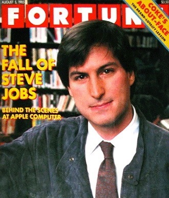史蒂夫乔布斯真实生平,史蒂夫·乔布斯生平的伟大事迹