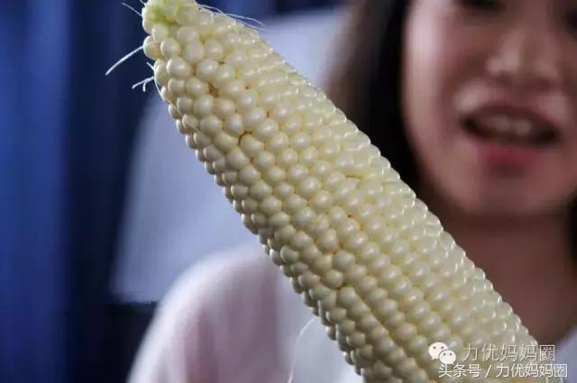 资深吃货有满满的干货,资深吃货强烈推荐