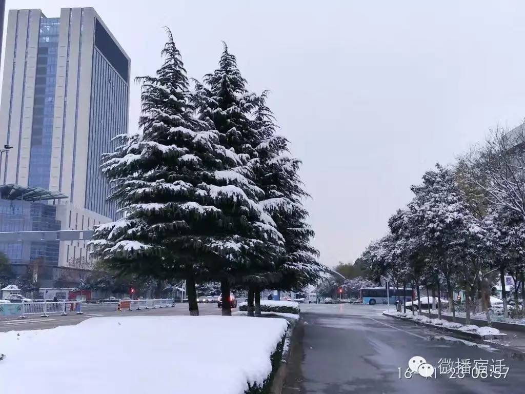 雪中宿迁，素颜都美到窒息！