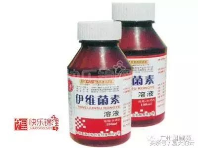 那些你不知道的副业,那些你不知道的观赏鱼