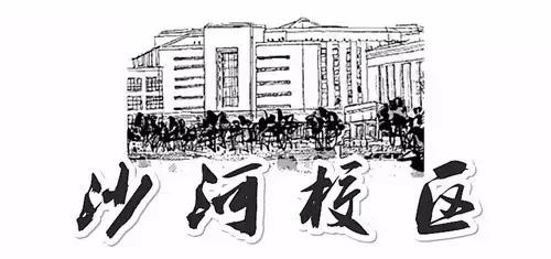 全国十大最美银杏大学,全国最美银杏大学