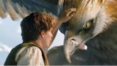 哈利波特怎么进入魔法世界,北京哈利波特的魔法世界