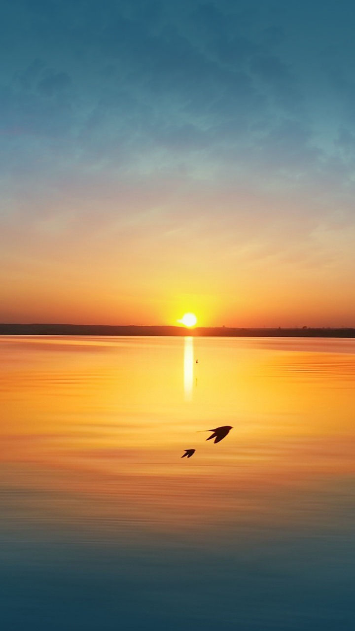 閰锋瘮halo澶栬,閰锋瘮halo鍥剧墖