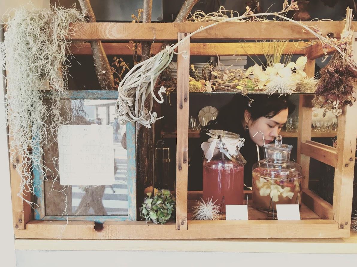 京都银杏图虫旅行,手绘研学旅游日记