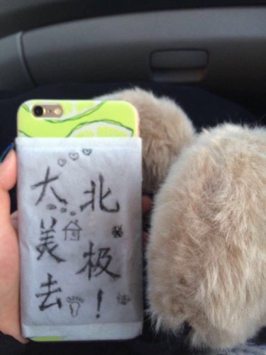 手机被冻了怎么解冻,手机被冻得自动关机