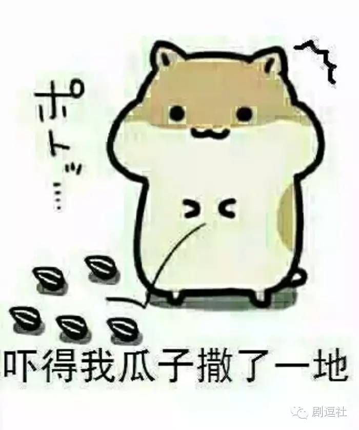 《请回答1994》七封这次撩上了吴海英？！