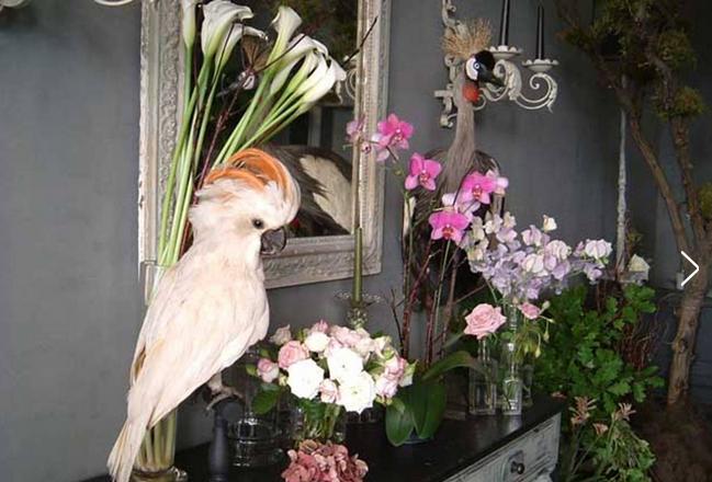 顶级奢侈花店,花店奢侈品牌