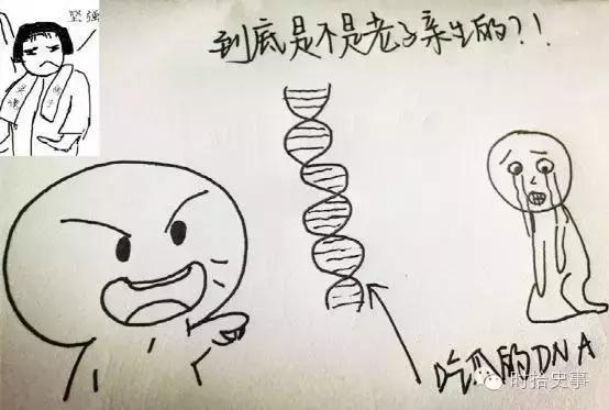 太康陆机怎么样,为什么称陆机为太康之英