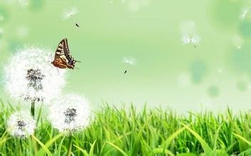 如果对你笑一笑，岂不是把你卖了还帮着人家数钱呢