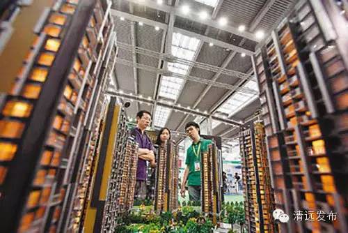清远近十年楼市怎样,2017年清远楼市的走势